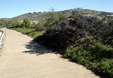 East Ridgeline Trail
