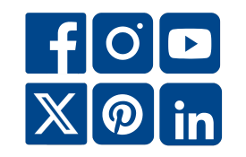 social media for content box
