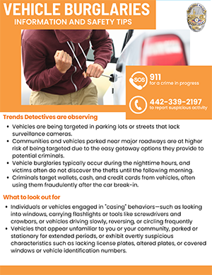 Vehicle Burglaries Safety Tips flyer