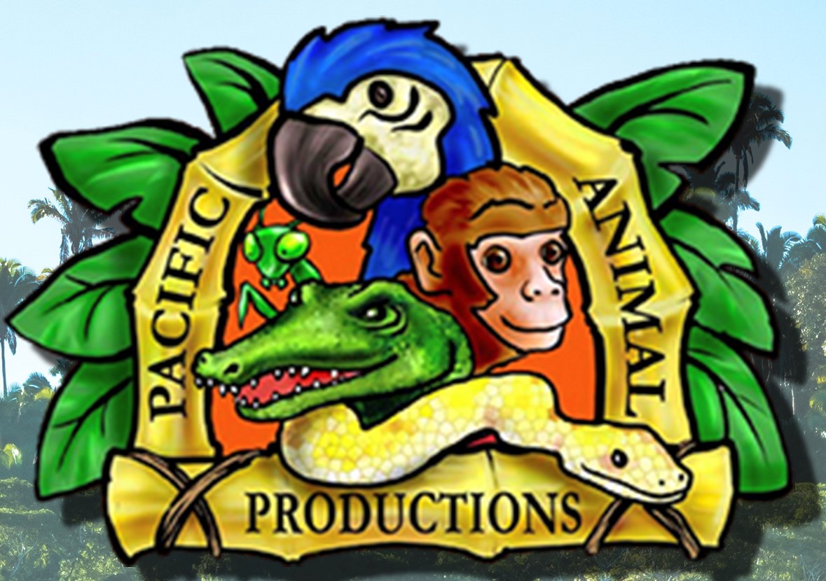 pacific-animal-productions