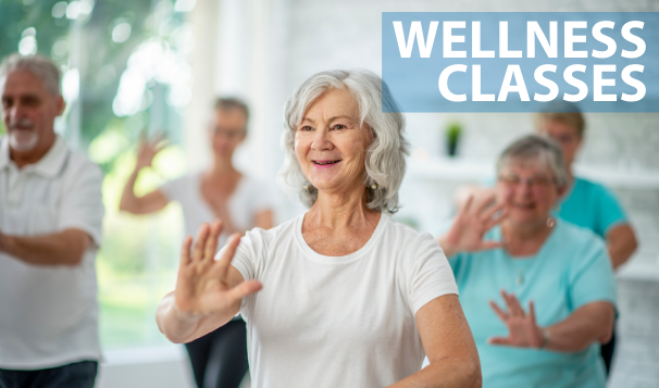 Senior webslide wellness classes