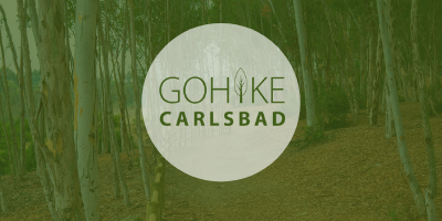 Go Hike logo web