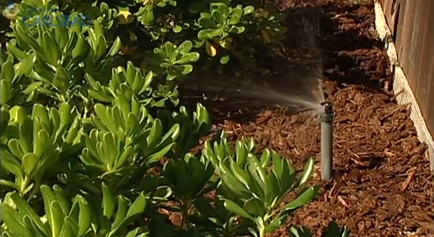 Water Saving Tips: Sprinklers