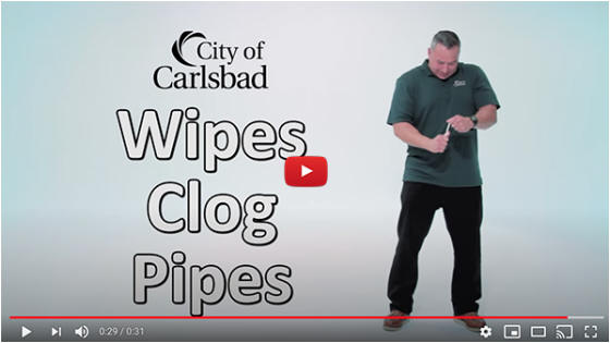 wipesclogpipes