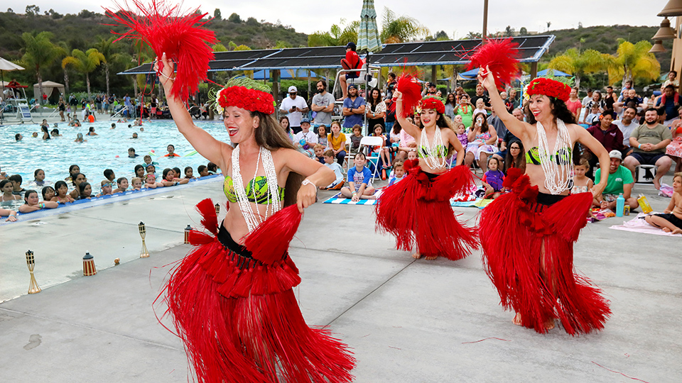 aloha plunge dancers