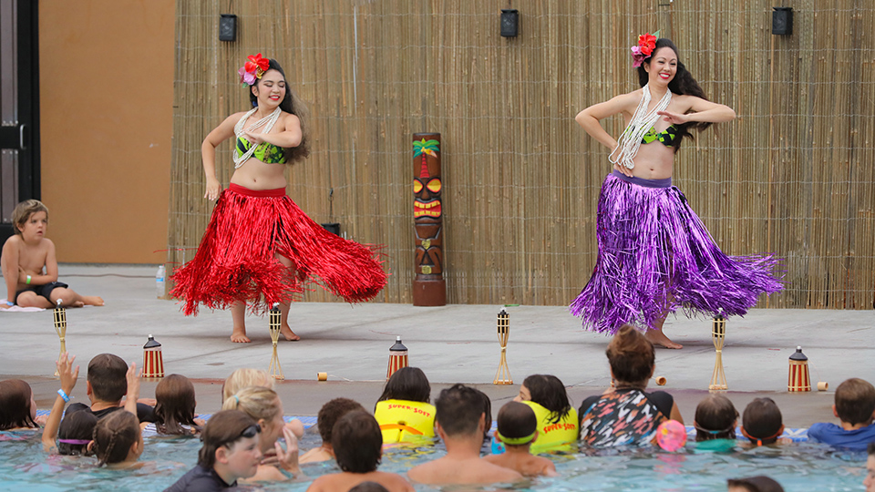aloha plunge dancers