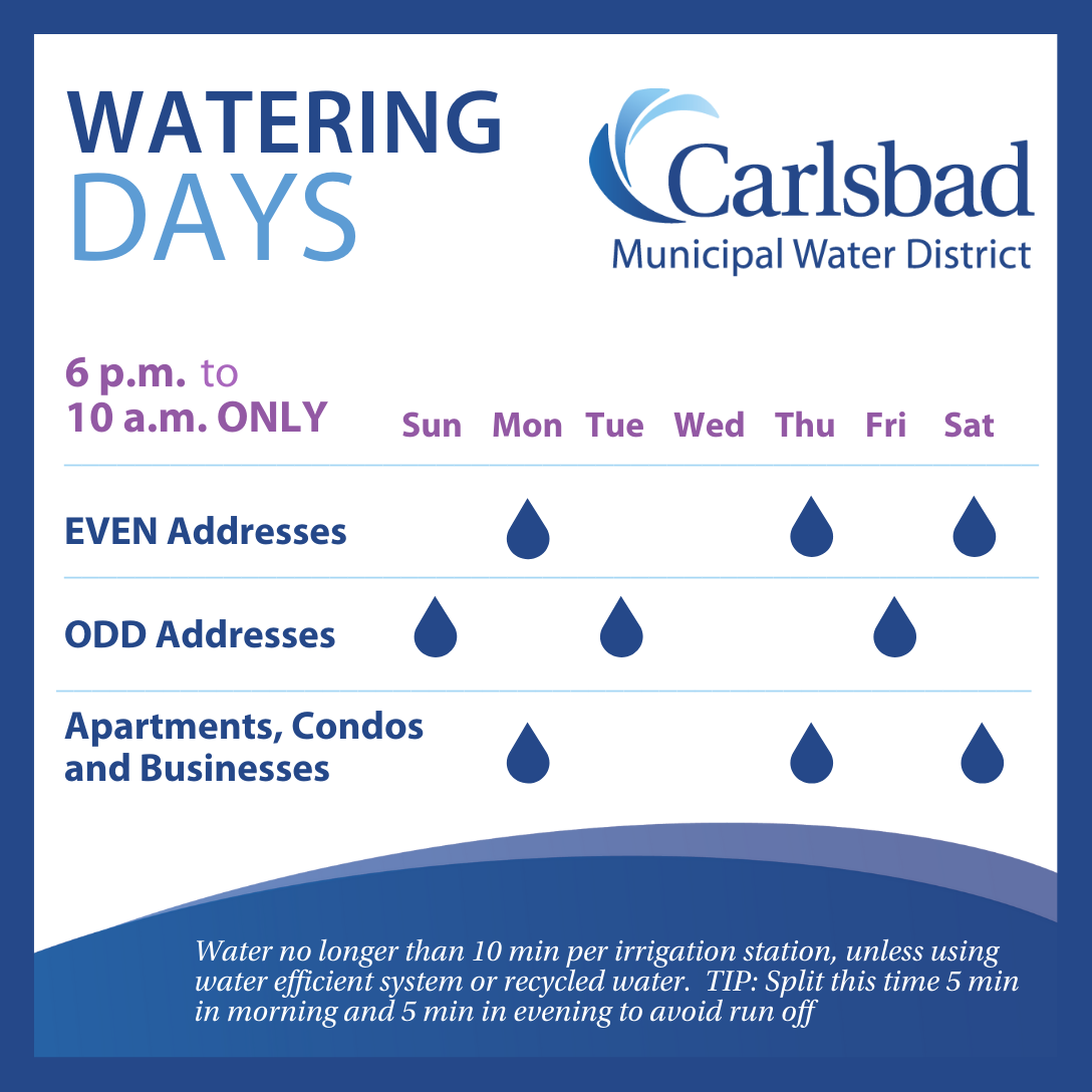 Watering schedule