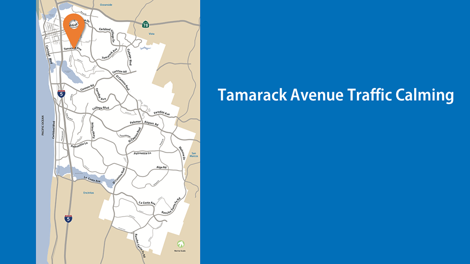 Tamarack traffic calming webpage map