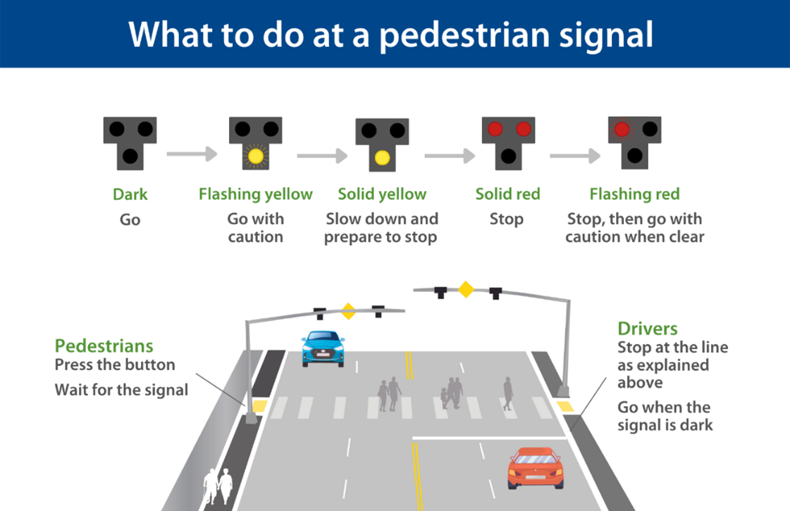 Ped Beacon Signal infographic