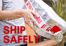 Prevent holiday package theft - ship safely. Here's how.
